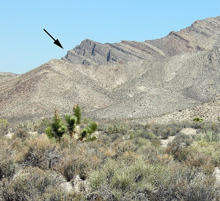 Alamo Breccia