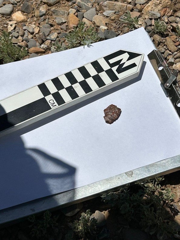 Artifacts from the survey