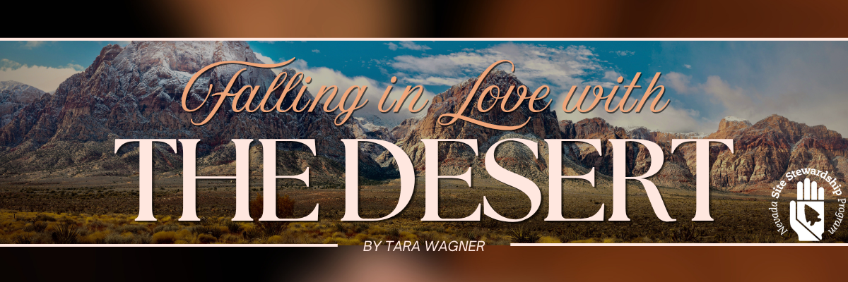 Falling in Love with the Desert Banner